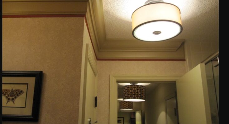 Ceiling Lights for the Hallway