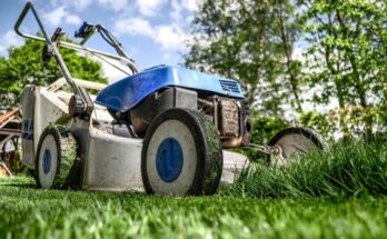 Lawn Fertilizer Services